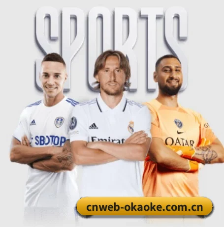 cnweb-okaoke.com.cn的方向